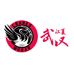 武漢女籃