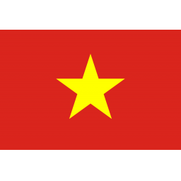 越南沙灘足球隊